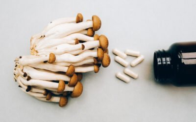 Functional Mushrooms: Evidence‑Backed Benefits Worth Knowing