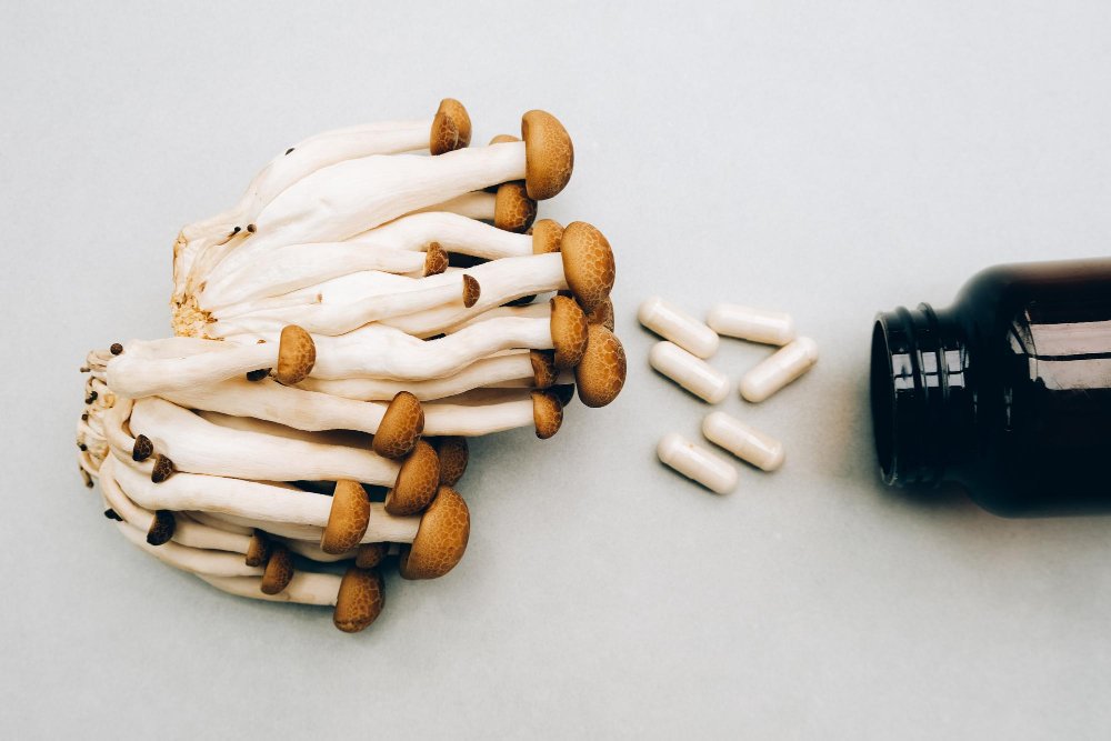 functional mushrooms